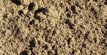 Plaster Sand in Lodi