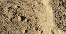 Processed Blended Loam in Lodi