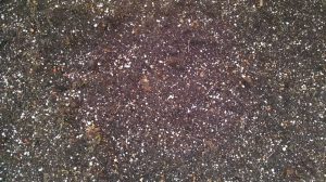 meza-trucking-materials-big-dog in Lodi