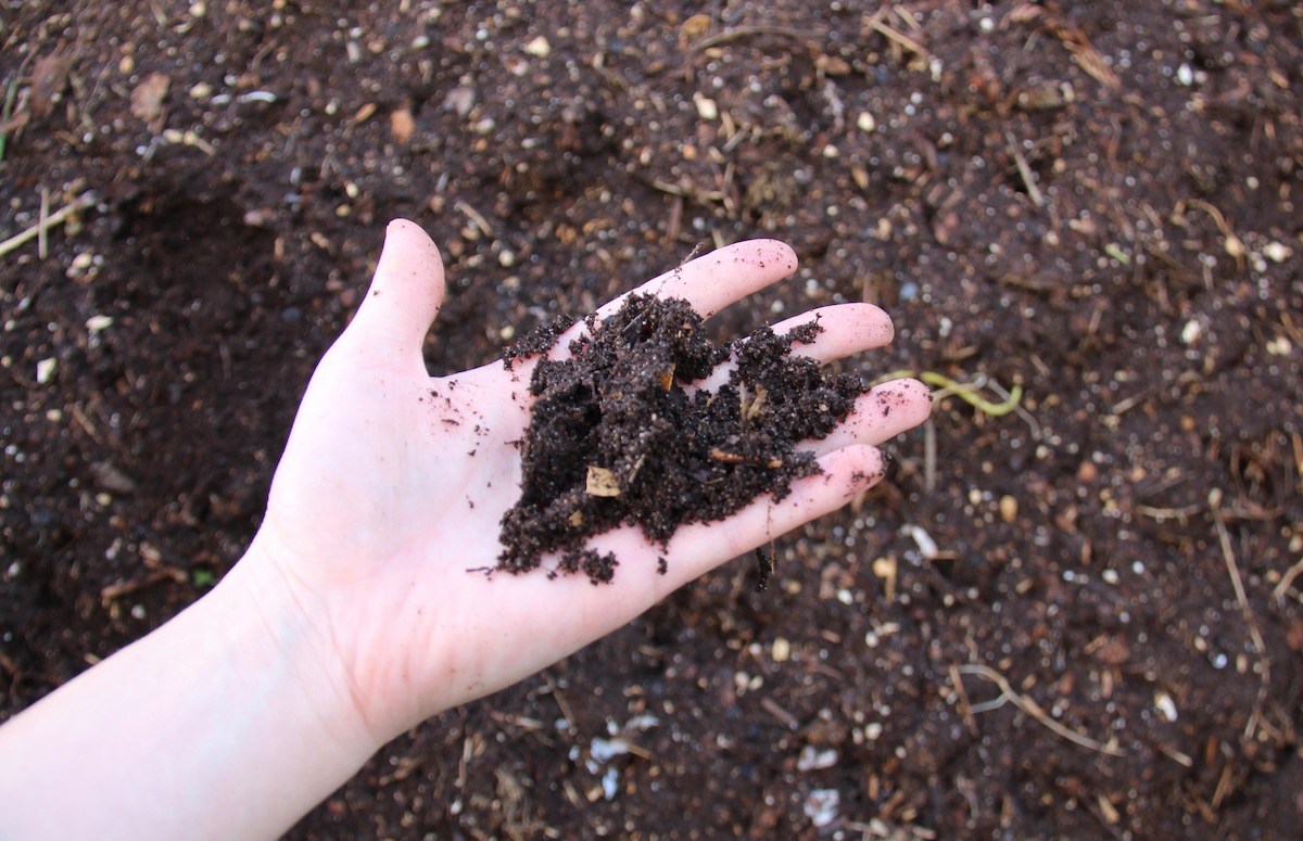 Homegrown Mulch